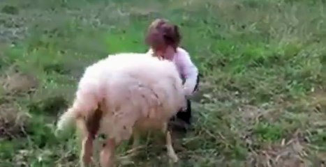 Çocukla çocuk olan kuzu! -Families of children with lamb!