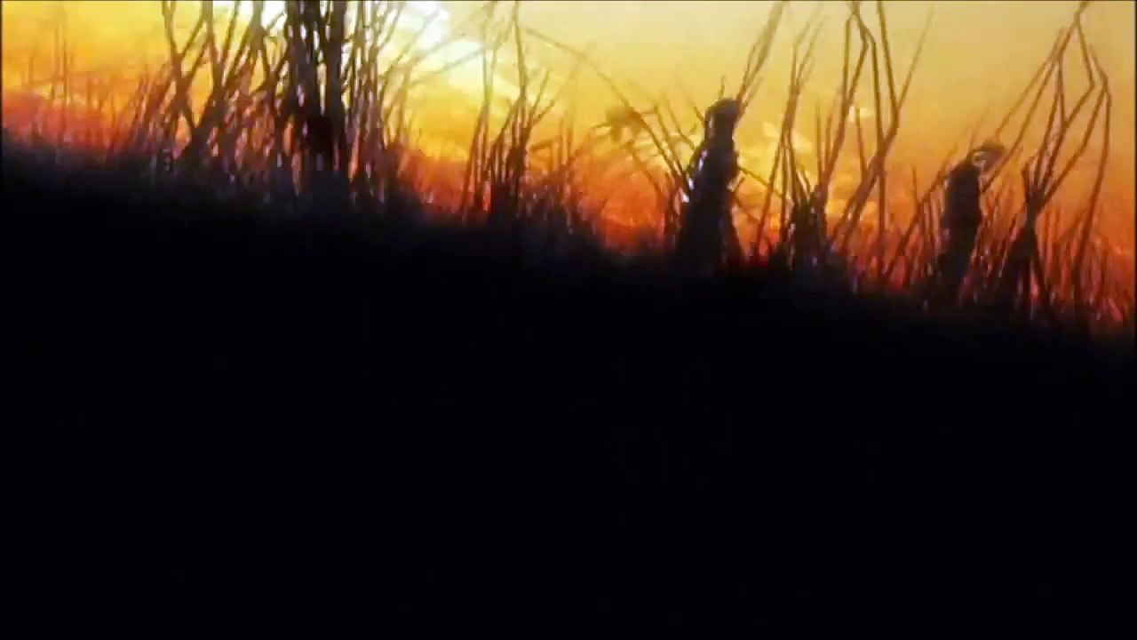 Naruto amv What I Belive Skillet