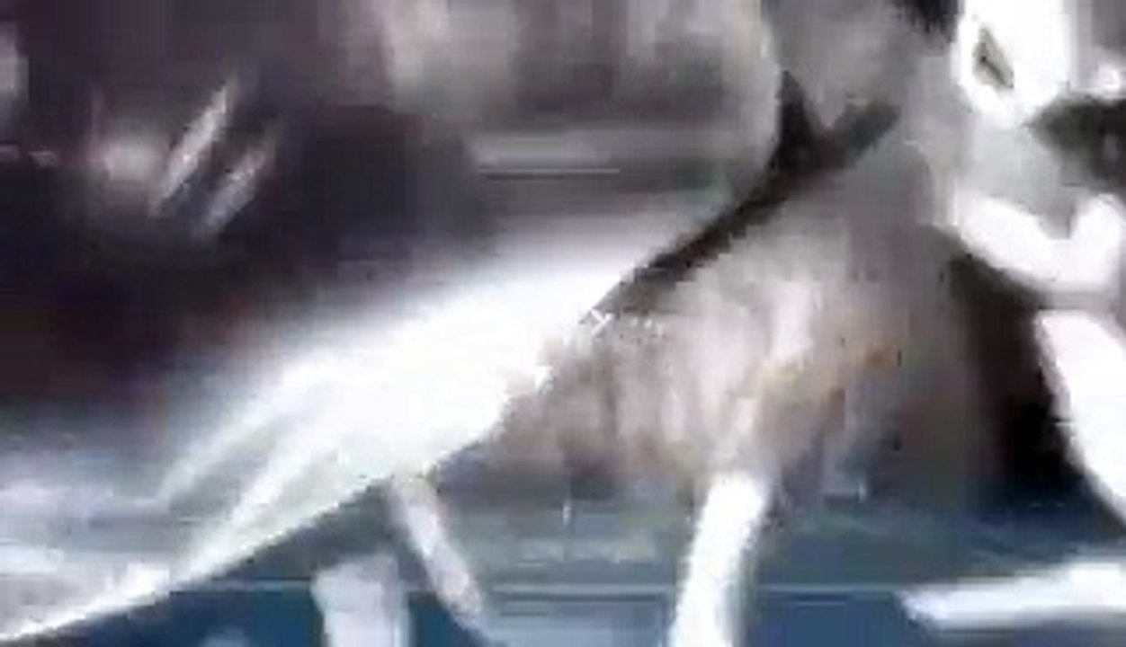 Serena Williams on-court interview (SF) - Australian Open 2016