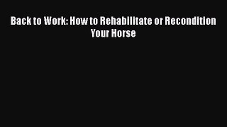 Back to Work: How to Rehabilitate or Recondition Your Horse  Free Books