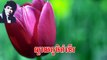 Keo Sarath - Khmer MP3 Karaoke - Sday phoum Kamneart - Cambodia Old Song