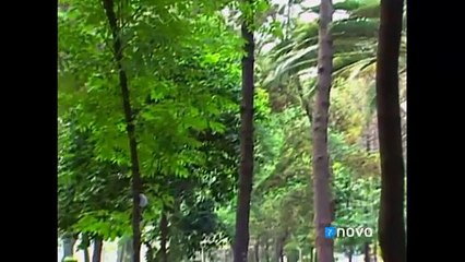 Marina - Capítulos 140 y 141