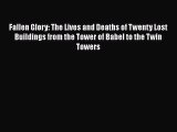 Fallen Glory: The Lives and Deaths of Twenty Lost Buildings from the Tower of Babel to the