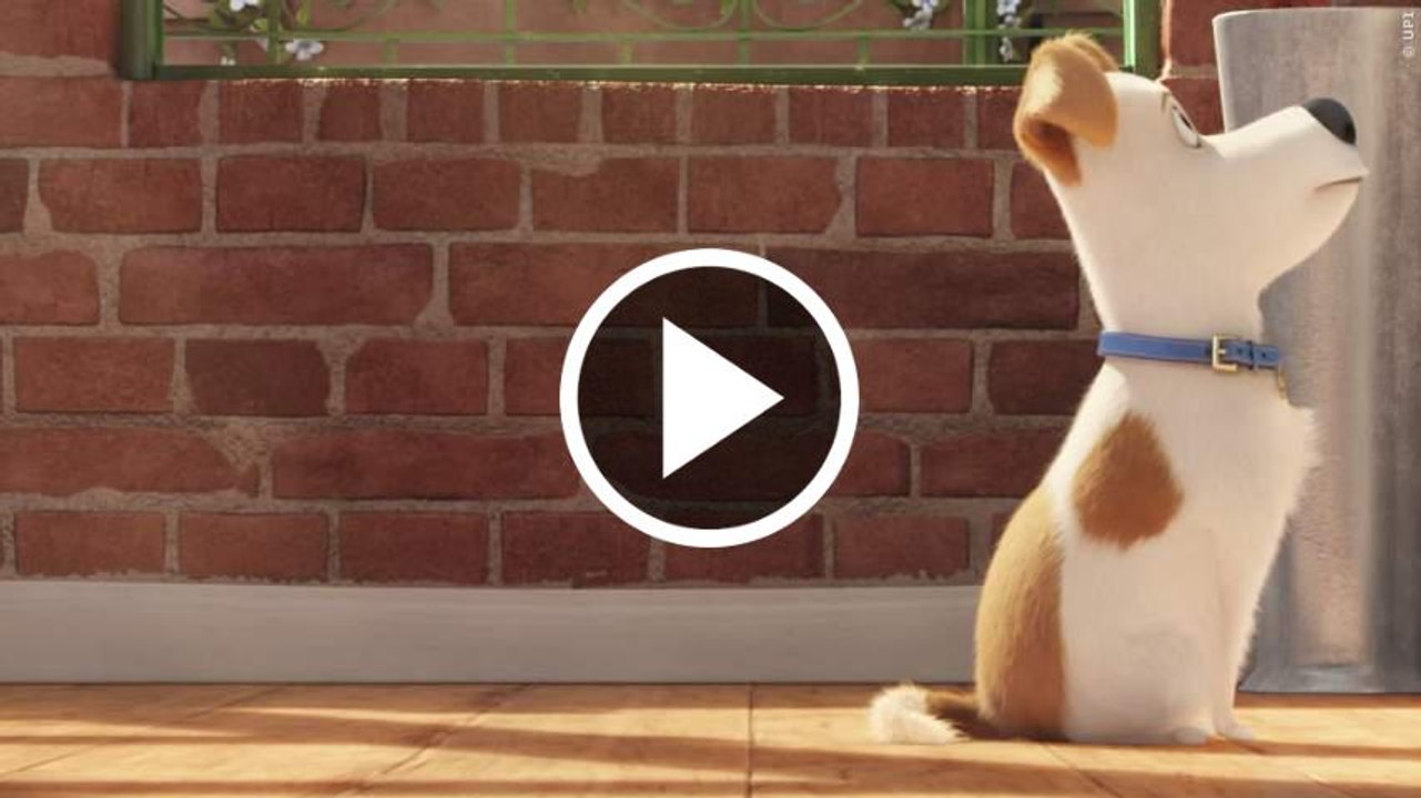 PETS Trailer 3 German Deutsch (2016)