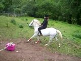 Moi galop a cru sur lybra !!