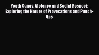 Youth Gangs Violence and Social Respect: Exploring the Nature of Provocations and Punch-Ups