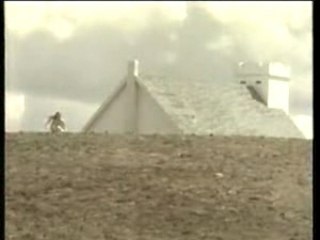 k.d. lang trail of broken hearts