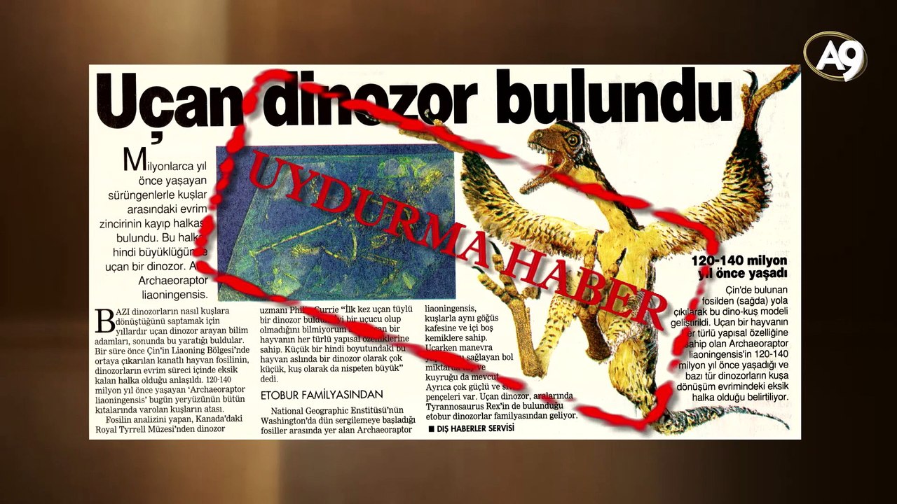 Dinokuş (Archaeoraptor)