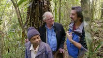 Feeding the Lemurs - Natures Wonderlands: Islands of Evolution - BBC Four