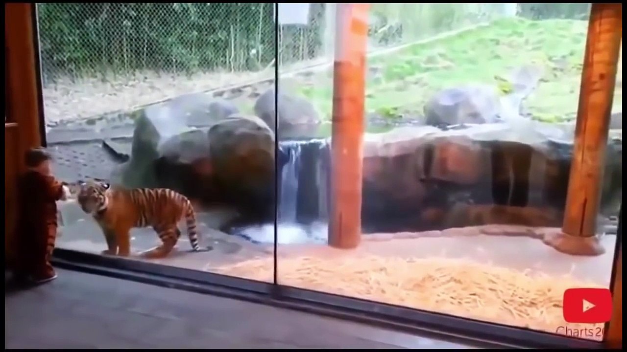 Lustige Videos Zum Totlachen 2016 - Witzige Videos Teil 14