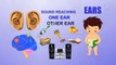 Ears Human Body Parts Pre School Know Your Body Animated Videos For Kids