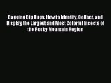 (PDF Download) Bagging Big Bugs: How to Identify Collect and Display the Largest and Most Colorful