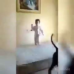 Sahibi ile yatak üzerinde zıplaya köpek