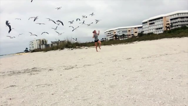 Seagulls Chase A Girl Down The Beach