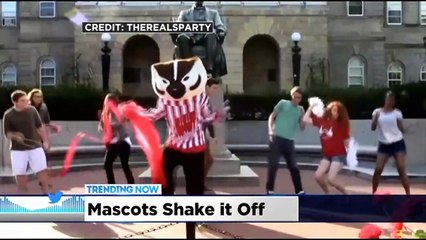Trending Now: Mascots Shake It Off And Turtles Twerk