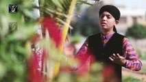Haseen Tar Jahano Se Payara Madina - Muhammad Hassan Shaikh - New Naat Album [2016]