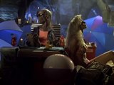 Tales From The Crypt S06E13 Comes The Dawn  DIMENSION