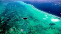 Exploring Mysterious and Enigmatic Bottom of Belize Blue Hole