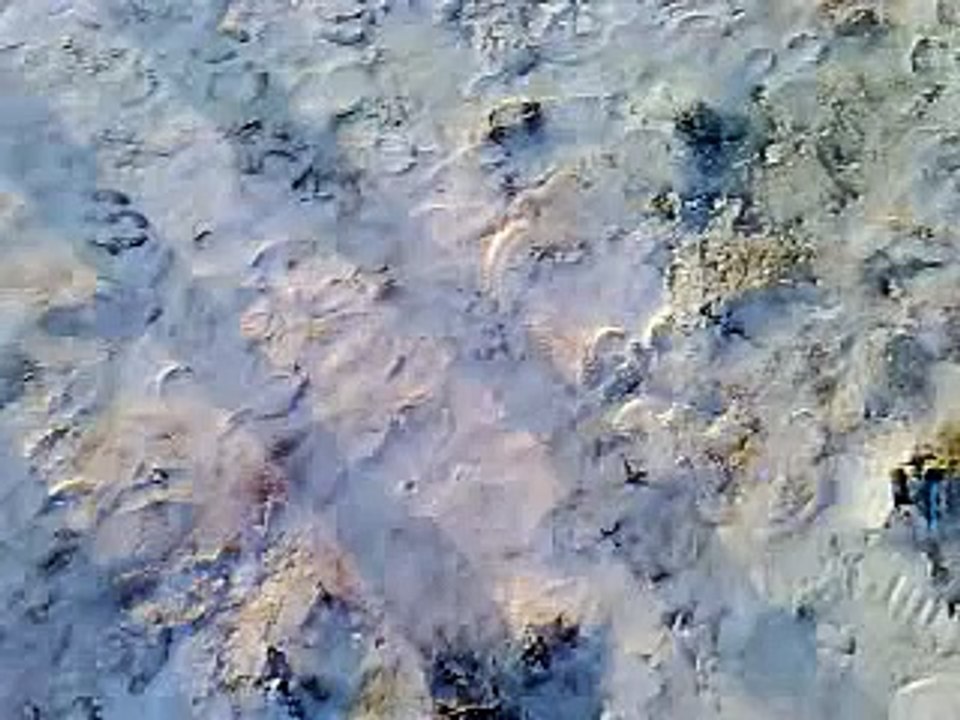 MUST SEE...CKINDUSTRIES RCPOWERS EXTRA 300 MAIDEN FLIGHT.!!