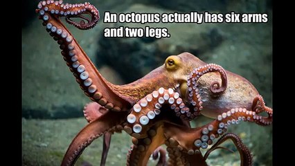 20 Interesting Science Facts