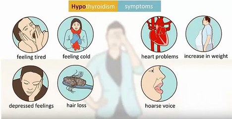 Watch and Subscribe at Low Thyroid Help Channel Now!