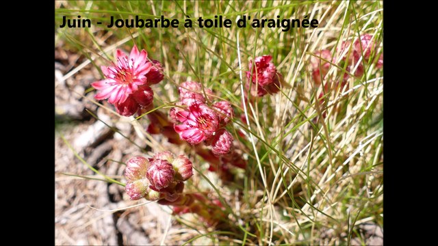 Petite rétrospective de mes randonnées de l'année 2015