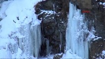 Kars- Susuz Şelalesini Sibirya Soğuğu Vurdu