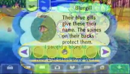 Vracer Car Racing Game  Top Aff Makes $2800 day! ~7.65% Conversions