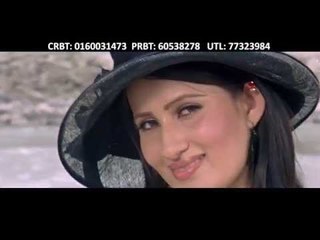 Chhoyeu Timle | Nepali Movie HO YEHI MAYA HO Song | Rajesh Payal Rai