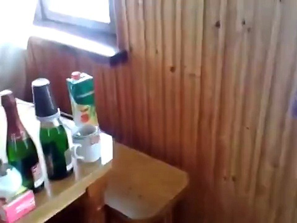 Самый злой кот в мире