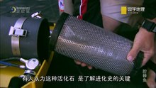 腔棘鱼