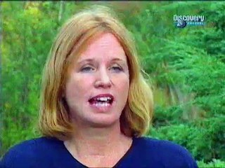 О сексе.Чувство секса - Нижняя черта(Документальный фильм)