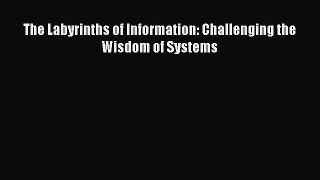 [PDF Download] The Labyrinths of Information: Challenging the Wisdom of Systems [Download]