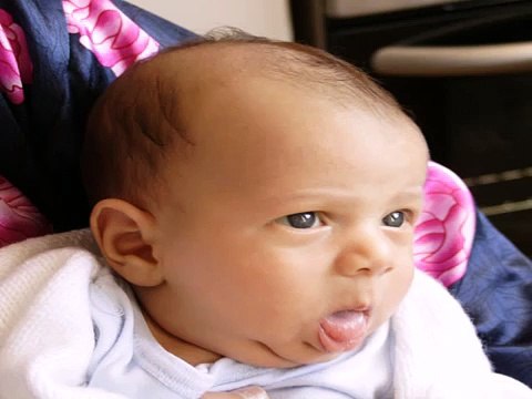 Fett Weg Faktor Erfahrungen