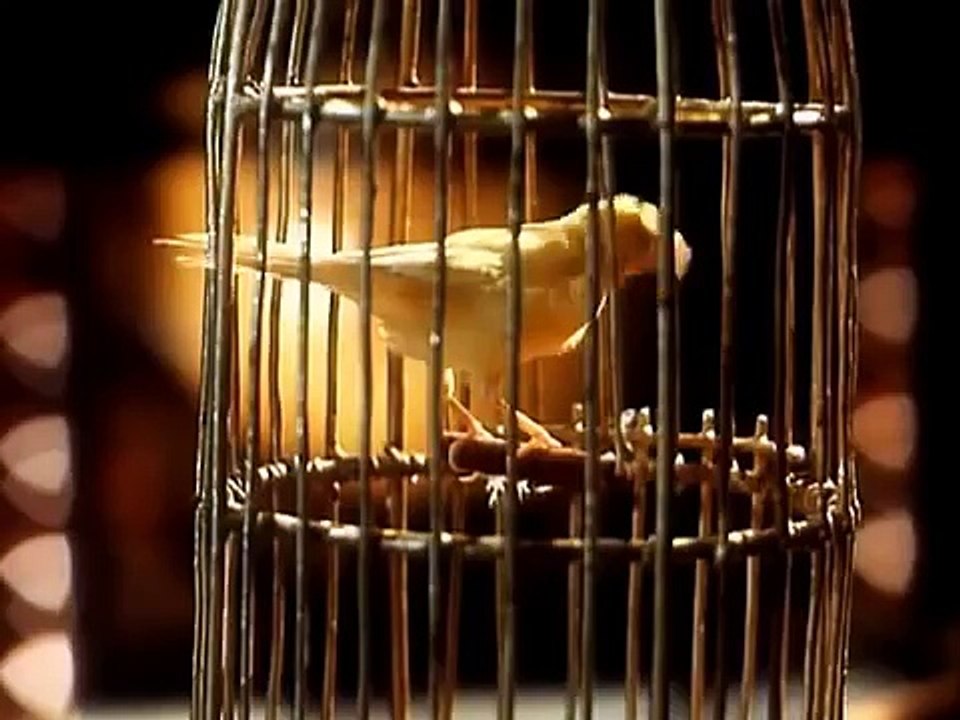 Графиня де Монсоро 1 Франция сериал Исторический, Приключения, Экранизация