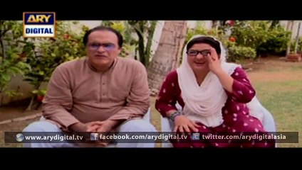 Watch Bulbulay Episode  246  28th January 2016 on ARY Digital