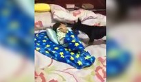 A dog covers a baby in bed