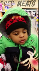 Funny 2 year old scared of rubber animals.