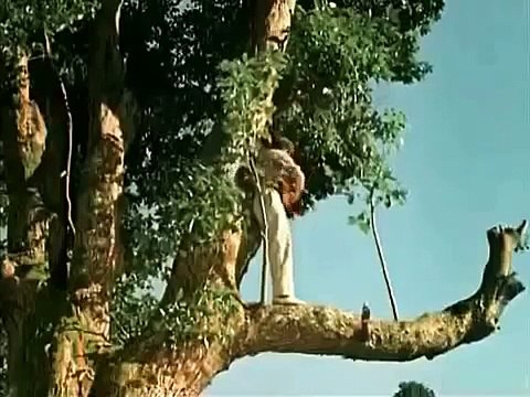 Жених без диплома 1961 Комедия Жизнь сначала Мелодрама