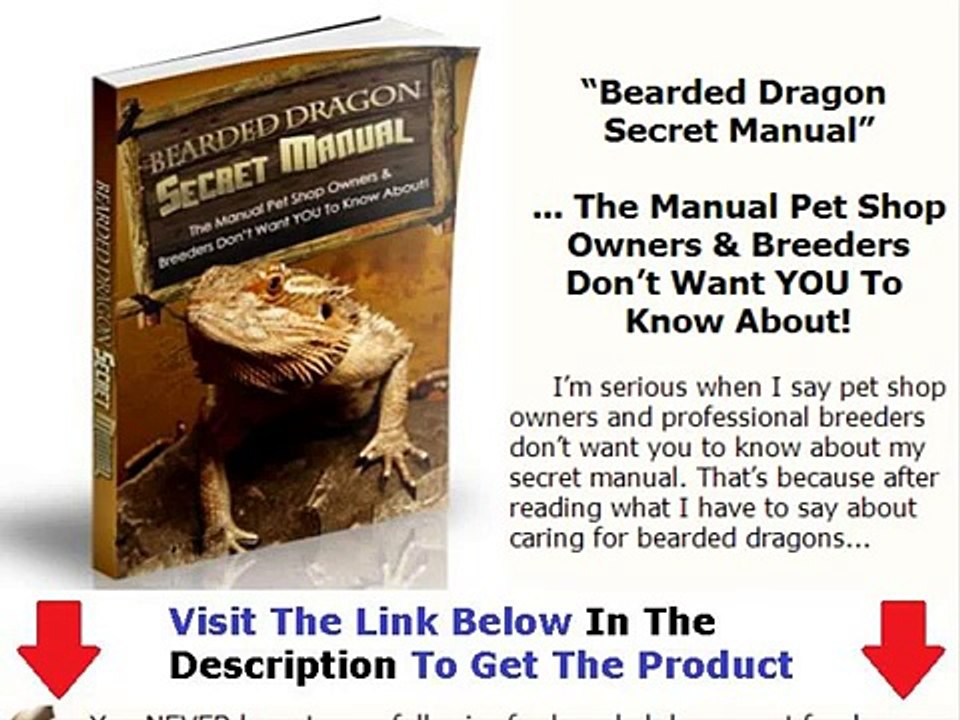 Bearded Dragon Secret Manual Get Discount Bonus + Discount