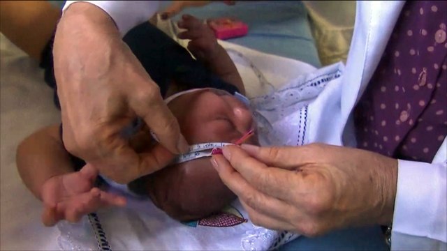 انتشار فيروس زيكا في أميركا الشمالية والجنوبية