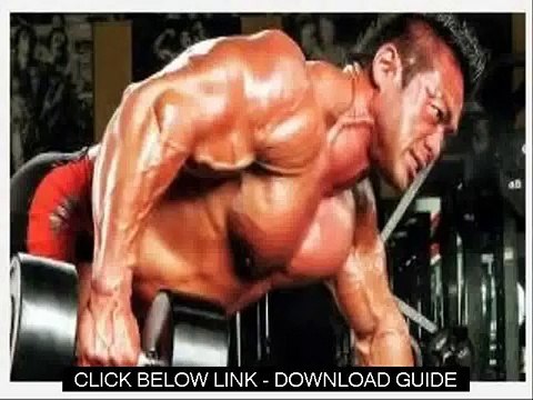 Muscle Training Program 2 X 4 Maximum Strength Program Review Guide