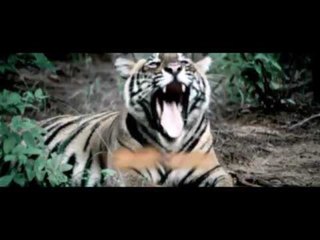 SETO BAGH | Nepali Movie Official Trailer | Nir Bikram Shah