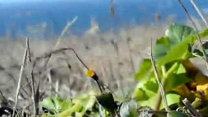 Unscripted Way - How to Redefine Your Reality