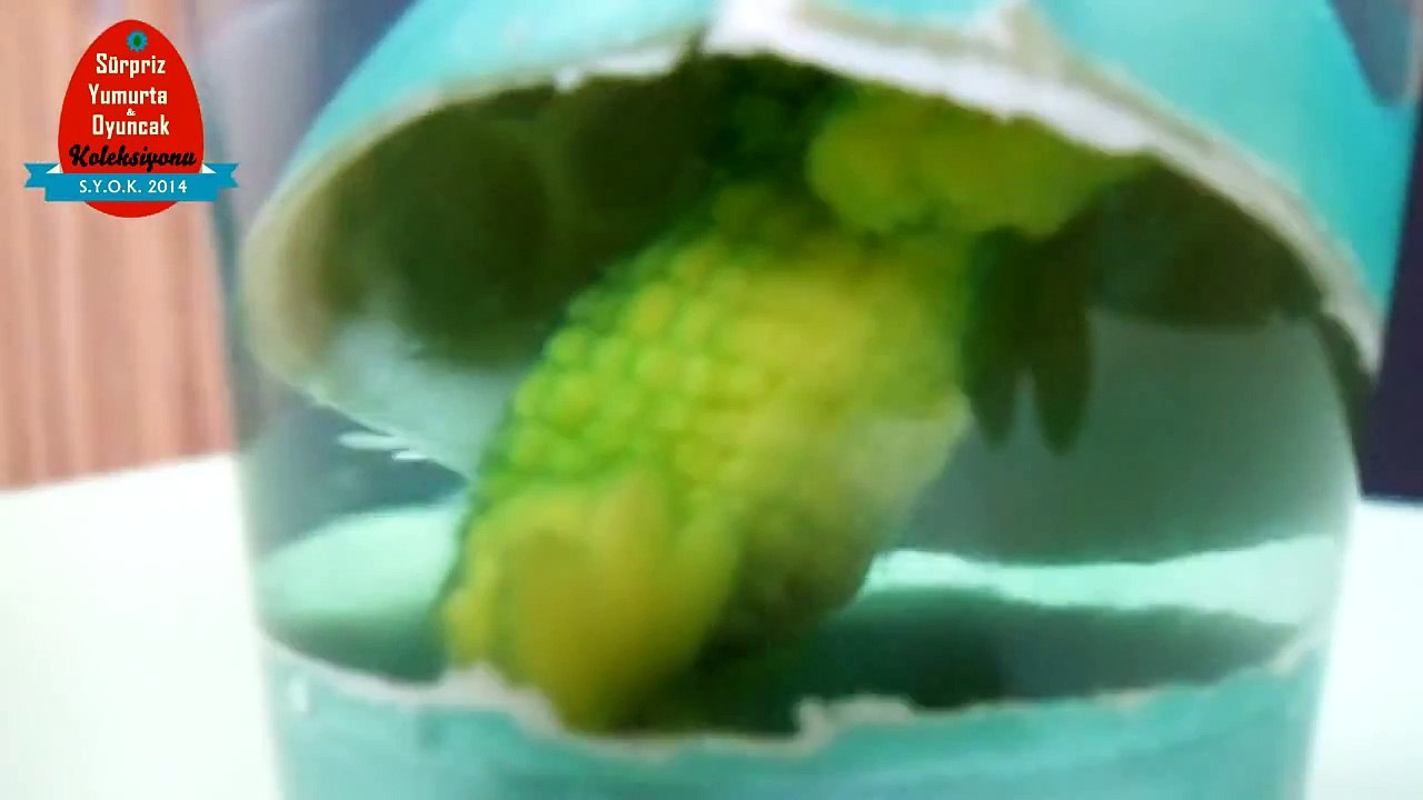 Play Doh Sürpriz Yumurtalar Açma | Oyun Hamurunda Sürpriz Yumurta ve Oyuncak Arabalar