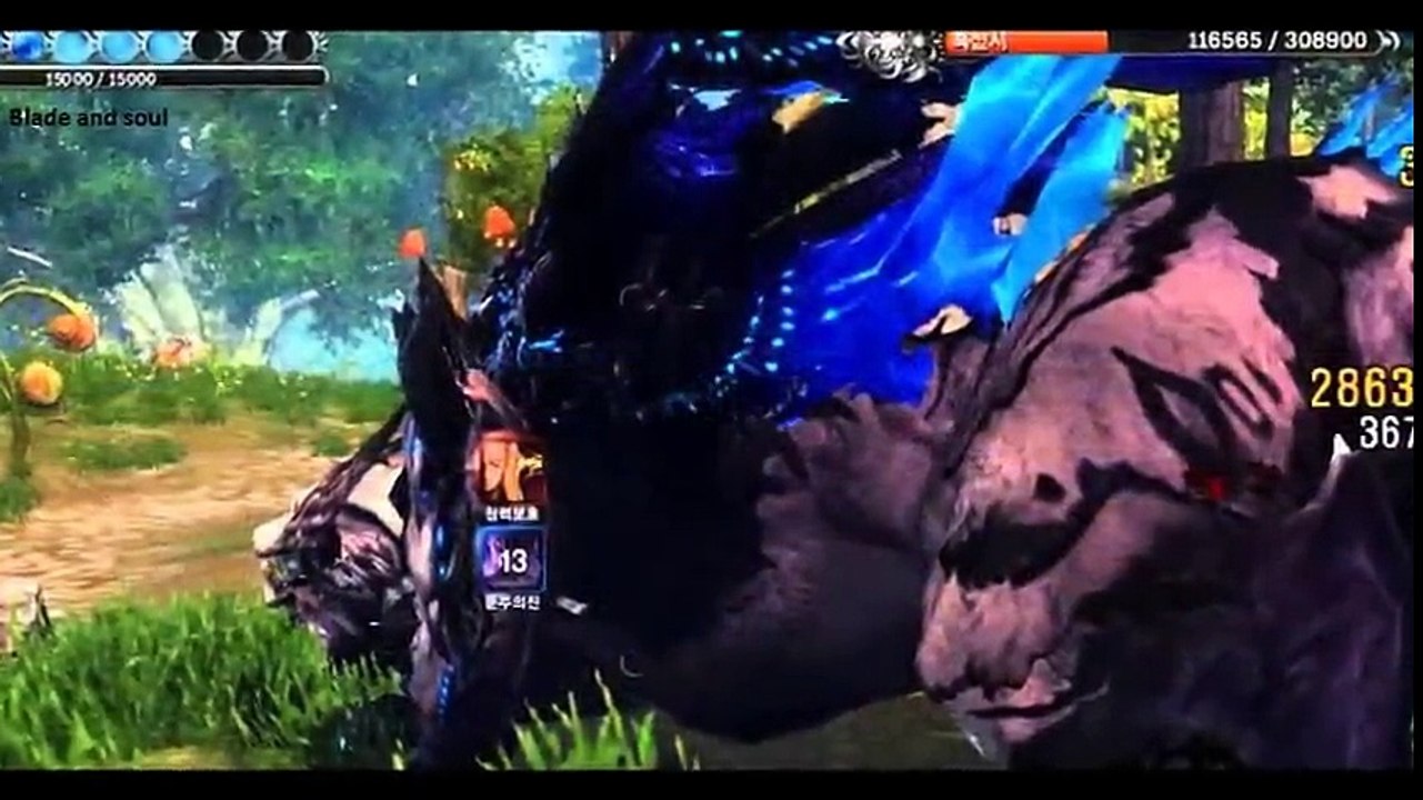 Blade and Soul Guide