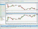Learn Forex Correlation Trading - In our Forex Trading Pro System Course