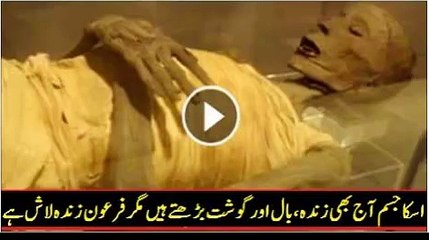 فرعون کی لاش کس طرح زندہ ہے