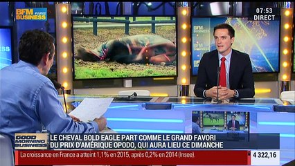 Bold Eagle signe son grand retour au Prix d'Amérique Opodo 2016 - 29/01