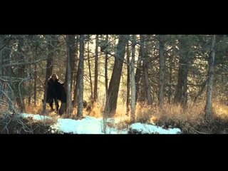 True Grit Trailer 2010